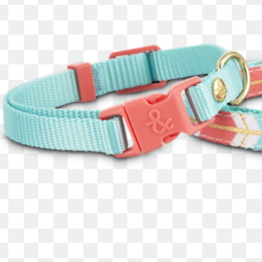 NWT Bond & Co Breast Cancer Awareness Aqua & Pink XS/Small Dog Collar 8-12”